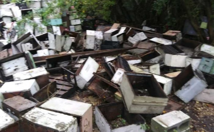 FLOOD WIPES OUT CONROE BEE KEEPERS HIVES