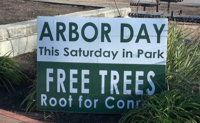 FREE TREES FOR CONROE RESIDENTS ON SATURDAY