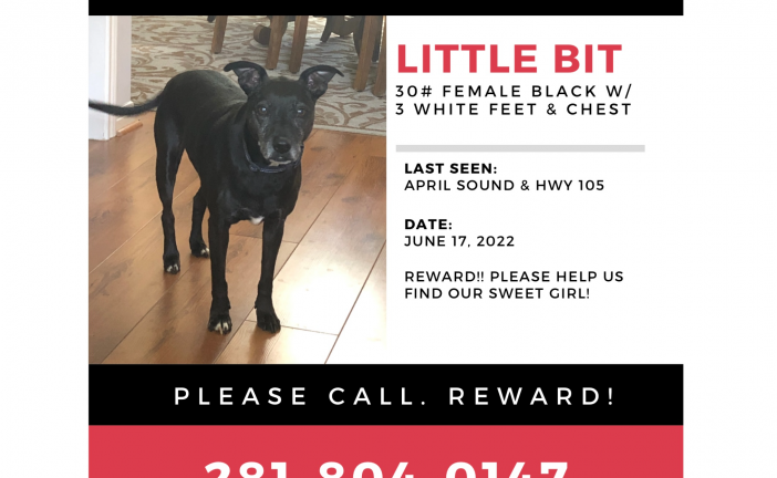 $10,000 REWARD FOR MISSING DOG