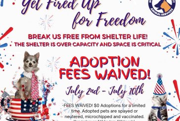 Montgomery County Animal Shelter is out of space!