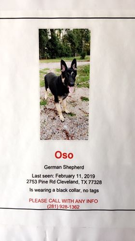 MISSING IN CLEVELAND