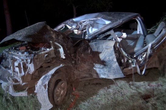 DRIVER ARRESTED AFTER FATAL AUTO TREE CRASH