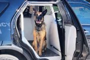 HPD K-9 stabbed while attempting to catch robbery suspect Saturday morning