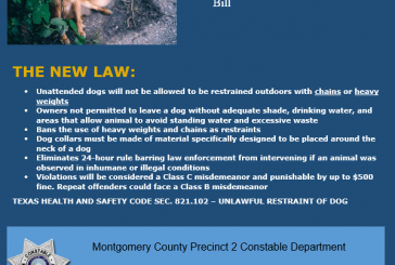 NEW DOG TIE DOWN LAW NOW IN EFFECT