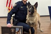 Spring ISD Police Department Announce the Retirement of K-9 Brix!