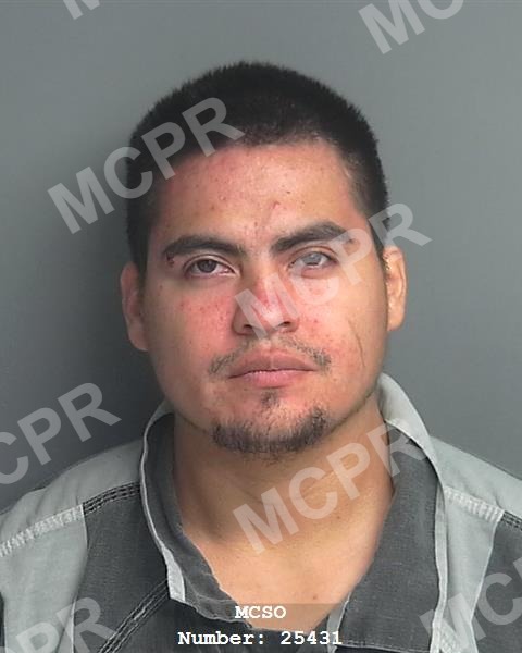 MENESES-RODRIGUEZ-HECTOR-25431-GJ102026